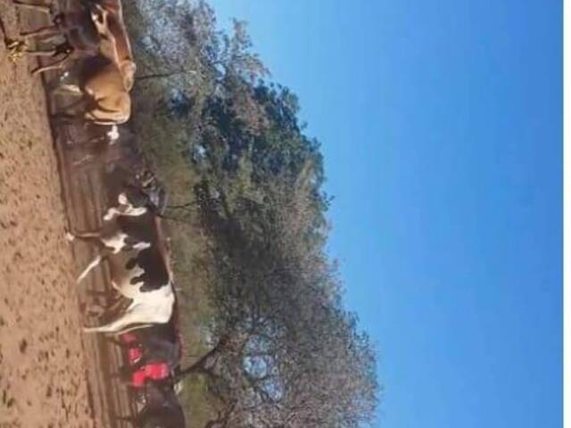 #293 - Área para Venda em Moamba - Maputo - 2