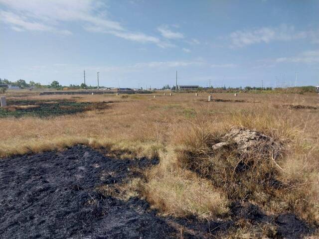 #296 - Terreno para Venda em Maputo - Maputo - 3