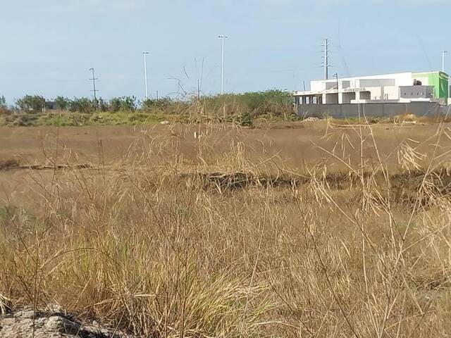 Terreno para Venda em Maputo - 4
