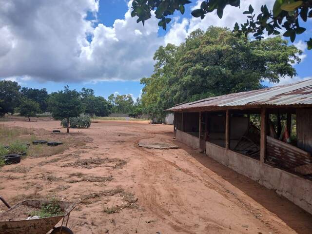 #297 - Área para Venda em Marracuene - Maputo - 3