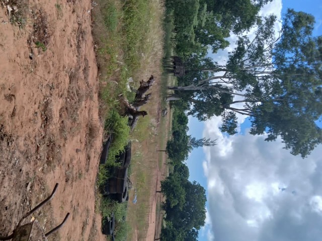 Área para Venda em Marracuene - 4