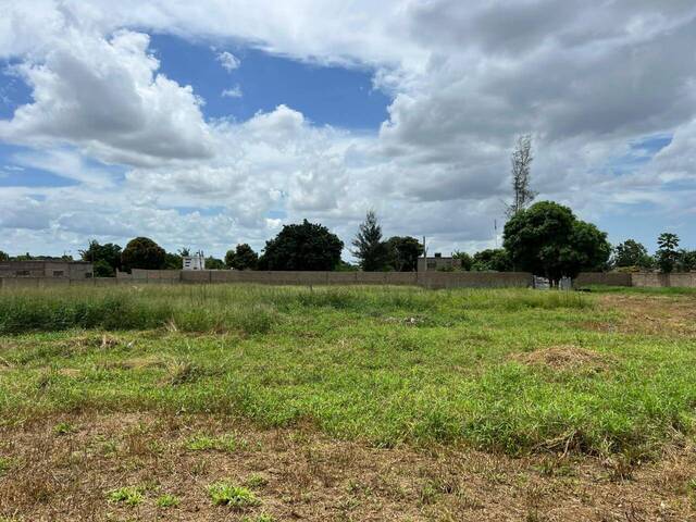 Área para Venda em Matola - 4