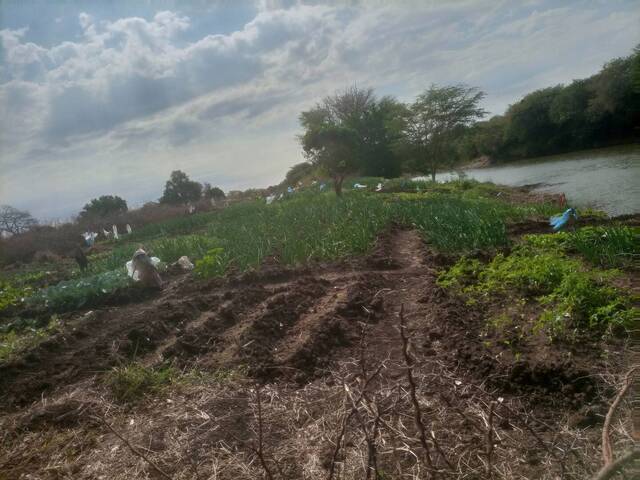 Área para Venda em Boane - 5